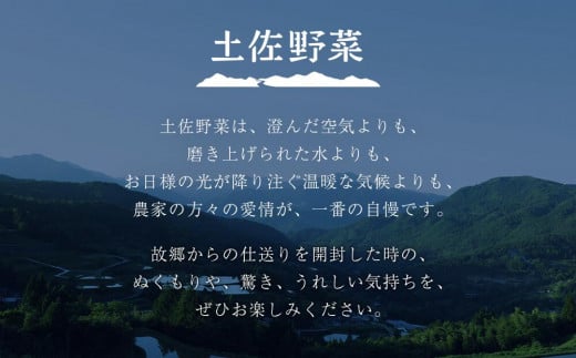 【土佐野菜】野菜の詰め合わせと無農薬生姜100g付き【セット 新鮮 野菜  人気 おすすめ 高知県 南国市】