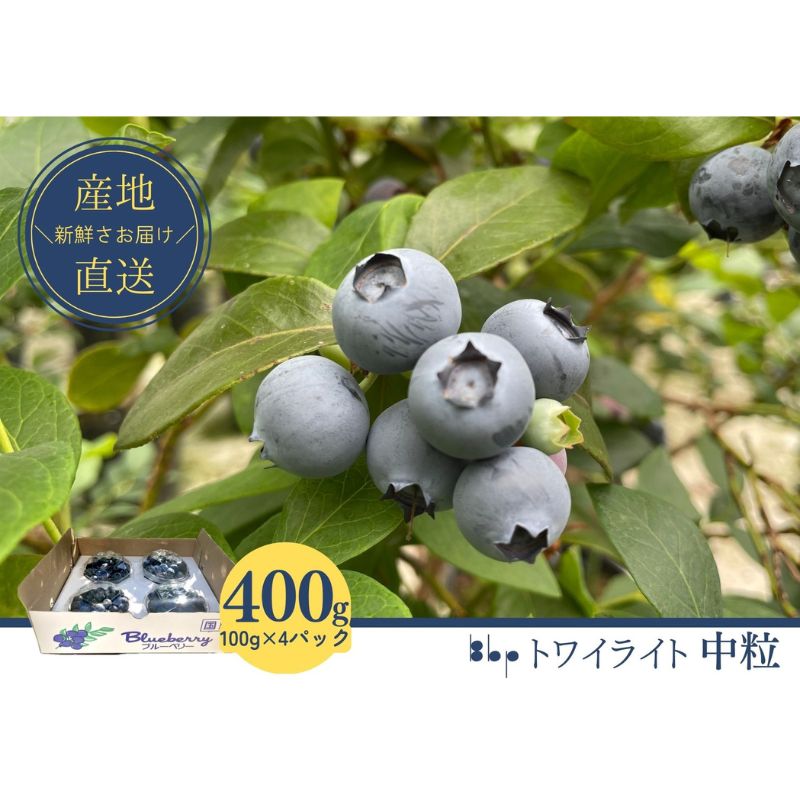 【ふるさと納税】【先行予約】フレッシュブルーベリー　(トワイライト中粒100g×4） 果物 フルーツ 国産フルーツ 朝摘みブルーベリー 上品な香り 国産ブルーベリー 　お届け：2025年4月20日～6月30日