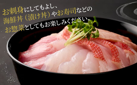 【刺身】3から5種 刺身4人前 hn104