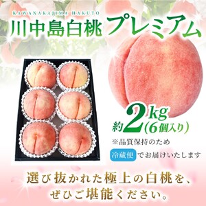 桃 【特選最上級】 川中島白桃 約2kg 6個入 ※2026年7月末から8月末順次発送【kgr036】 