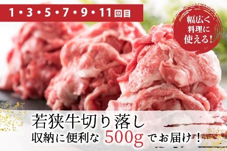 【定期便 12回コース】 肉好き大集合！若狭牛三昧MAX！！ 定期便！！【N-3202】