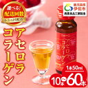 【ふるさと納税】〈選べる配送回数！〉コラーゲンドリンク アセロラコラーゲン (50ml×10本 / 1回・3回・6回配送) グルコサミン シトルリン コエンザイムQ10 ヒアルロン酸 ビタミンC 配合! 国産 アセロラを使用 美容のための コラーゲン飲料です アセロラ ドリンク【財宝】