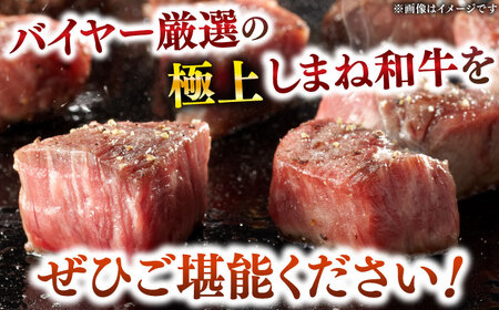 【肉質日本一！」】３種の部位！しまね和牛サイコロステーキ 300g (肉専用にんにく塩付) 黒毛和牛&nbsp;冷凍 ステーキ ブランド牛 人気 ギフト 島根県雲南市/富士商株式会社[AIDH002]