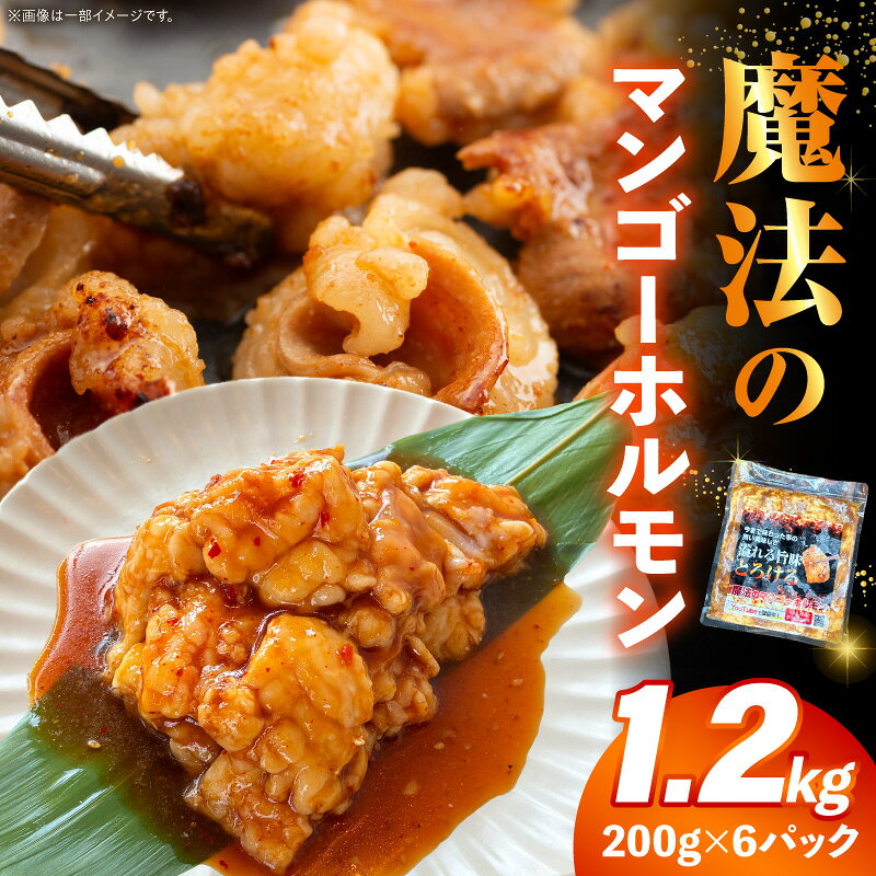 【ふるさと納税】魔法のマンゴーホルモン 1.2kg(200g×6パック) ホルモン 牛ホルモン 6パック 小分け 特製ダレ 味付きホルモン 味付き 味付き肉 味付け肉 つまみ おつまみ おかず マンゴーソース 焼くだけ 簡単 簡単調理 お肉 牛肉 BBQ キャンプ アウトドア 宮崎県 宮崎市