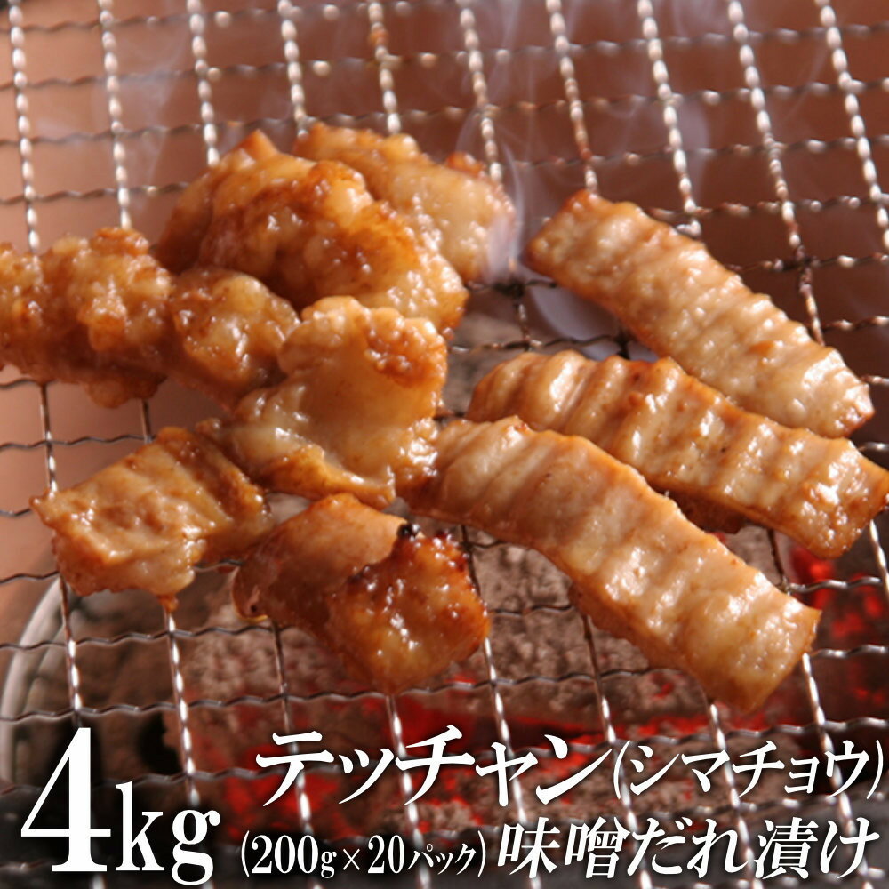 【ふるさと納税】テッチャン味噌だれ漬け4kg（200g×20） | 肉 お肉 にく 牛肉 テッチャン 牛大腸 大腸 ホルモン 味噌だれ 味付き 情熱ホルモン 小分け 便利 食品 ギフト 送料無料