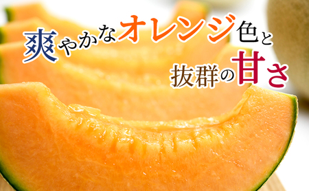 メロン 赤肉 厳選 大玉 富良野産 メロン【1玉 約2.5kg】松本農園