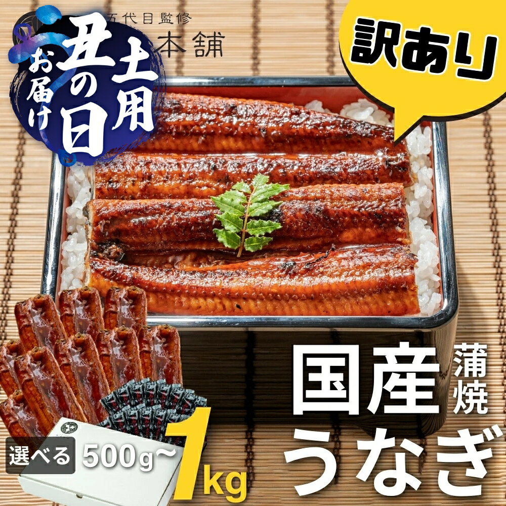 【ふるさと納税】訳あり 国産 うなぎ ~10尾 ~1キロ 蒲焼 うなぎ 愛知県 三河 宮崎 静岡 産地 おまかせ 尾数 不揃い 2尾 3尾 4尾 5尾 6尾 8尾 10尾 長蒲焼 冷凍 丑の日 鰻 unagi わけあり 規格外 土用の丑の日 送料無料 豊橋市 豊橋うなぎ