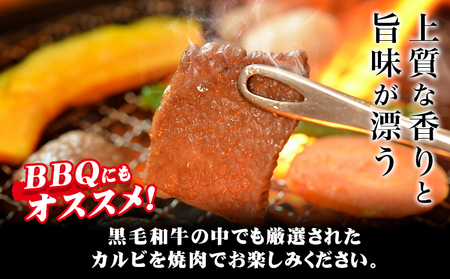 黒毛和牛 特選 カルビ 焼肉 600g エムエスエイ (株)《30日以内に出荷予定(土日祝除く)》｜　大阪府 羽曳野市 送料無料 牛肉 牛 和牛 焼き肉用 焼き肉焼肉焼肉焼肉焼肉焼肉焼肉焼肉焼肉焼肉焼