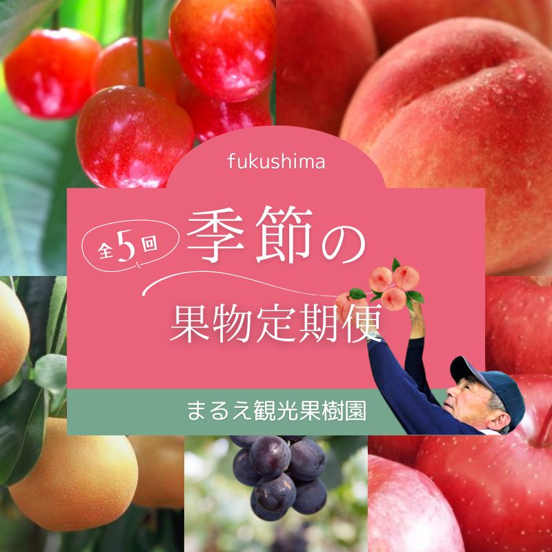 【ふるさと納税】No.2496【2026年発送】まるえ観光果樹園　季節の果物定期便【全5回】