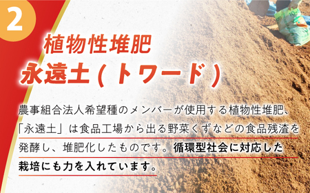 【自然の力を活かした栽培】温州みかん（普通） 10kg -2025年12月下旬より発送- 農事組合法人希望種（きぼうのたね）[ECQ006]  みかん ミカン 柑橘 温州みかん 果物 くだもの フルー