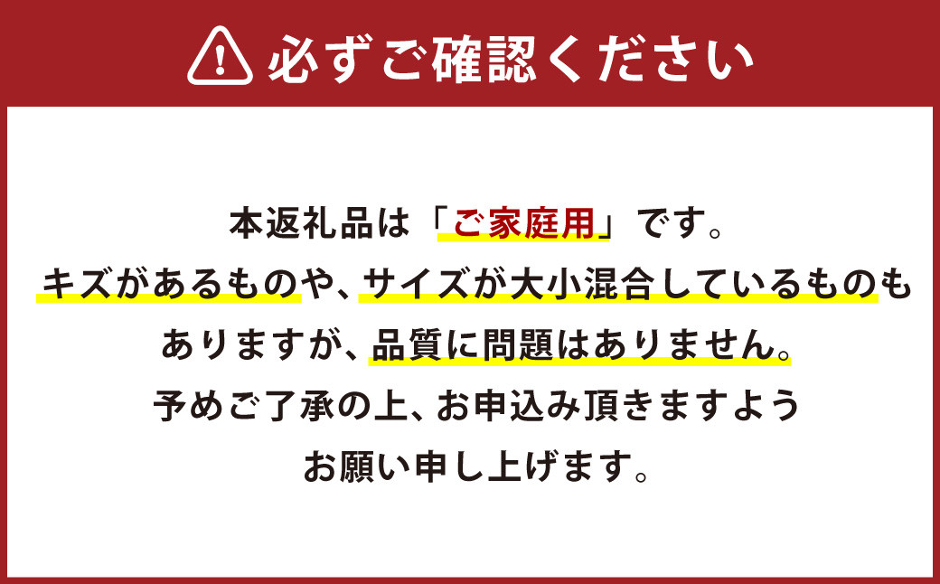 大岩農園のはるみ 家庭用 約4.5kg