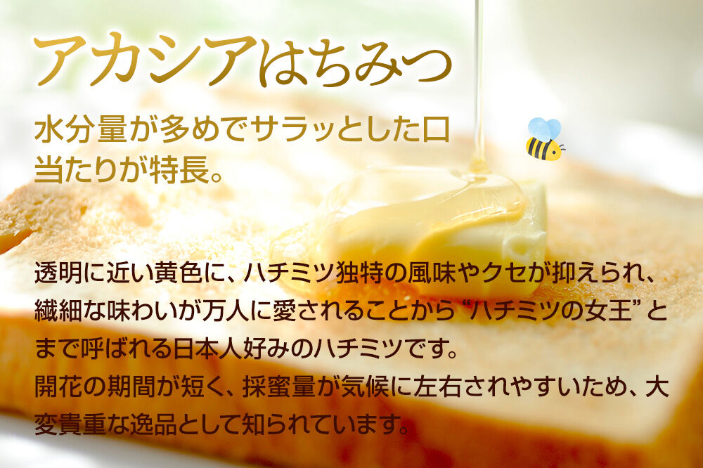 奥利根坂井のアカシアはちみつ 2400g×1本 坂井養蜂場 [蜂蜜 はちみつ ハチミツ 国産 アカシア アカシヤ]