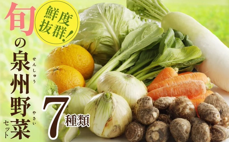 【家計応援】野菜セット 7種類【詰め合わせ 国産 旬 お試し おまかせ お楽しみ 期間限定 大阪 泉佐野 大阪府 泉佐野市】