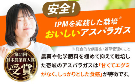 【先行予約】壱岐産　アスパラガス 2kg　【2025年3月以降順次発送】《壱岐市》【壱岐市農業協同組合】[JBO148]