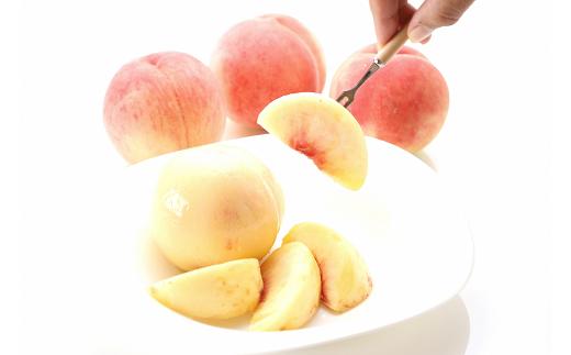 【令和7年産先行予約】 硬めの白桃 約3kg (6～15玉 秀)  《令
