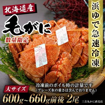 ふるさと納税 白老町 【浜ゆで自社タグ付】北海道産ボイル毛ガニ600g〜660g前後×2尾