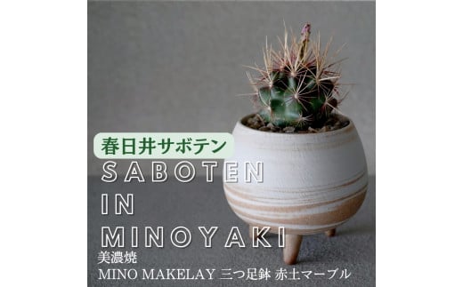 【ふるさと納税】多治見市×春日井市コラボ 【美濃焼】 MINO MAKELAY 三つ足鉢 赤土マーブル × 【日本有数のサボテン産地】 春日井市の名店 後藤サボテン