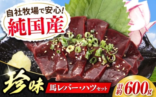 『純国産』熊本の味 馬珍味 セット 計約600g（約200g×3セット）レバー ハツ 刺身 馬肉 希少 熊本 生レバー 生ハツ 【有限会社 九州食肉産業】 [AYCN010]