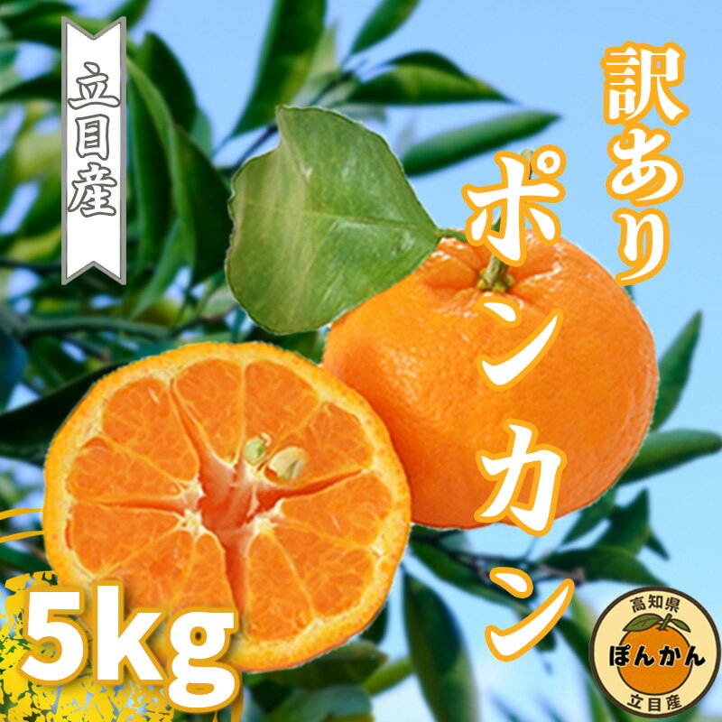 【 ふるさと納税 】 ぽんかん 訳あり 5kg 早期予約 立目産 サイズ混合 ブランド 柑橘 2026年 1月中旬 順次発送 立目 果物 フルーツ 家庭用 ふるさと納税 高知県 須崎市