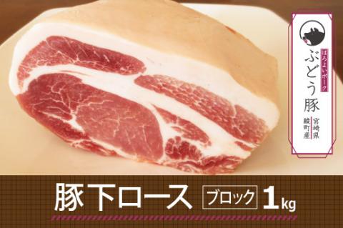 綾ぶどう豚下ロースブロック1kg（36-176）