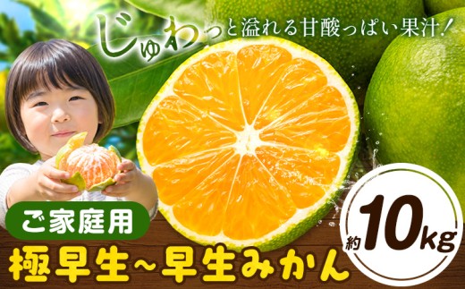 みかん 訳あり 極早生 早生 ご家庭用 サイズ不選別 約10kg《11月上旬-12月初旬頃出荷》徳島県 佐那河内村 わけあり みかん 柑橘類 わけありフルーツ 果物 フルーツ お取り寄せフルーツ