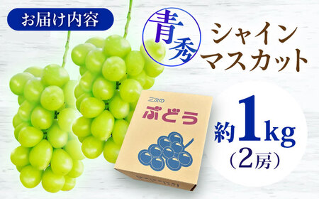 【先行予約】【9月中旬から9月末に順次発送】 ぶどう シャインマスカット 1kg（2房 青秀） 露地栽培 シャインマスカット マスカット 果物 フルーツ くだもの ぶどう 葡萄 三次市/西田ぶどう園[