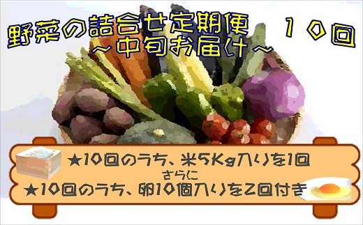 米5kgと卵20個付き！野菜の詰め合わせ定期便10回(中旬)【定期便】( 米 ご飯 お米 白米 5キロ 卵 たまご タマゴ 野菜 詰め合わせ 定期便 季節の野菜 旬 九州 松浦市 )【J0-001】