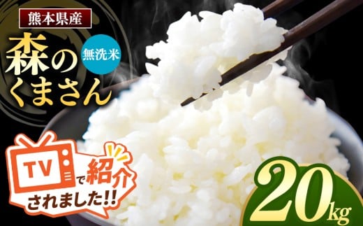森のくまさん 無洗米 20kg 5kg×4袋 | お米 米 無洗米 森のくまさん 20キロ 国産 国産米 熊本県 玉名市 くまもと たまな