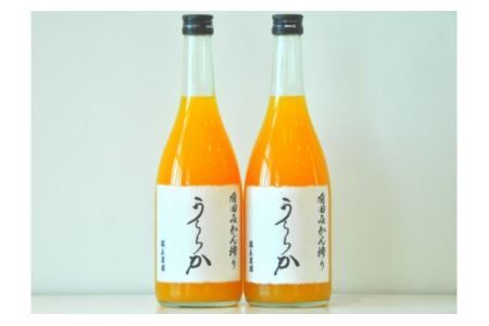 有田みかん搾り「うららか」2本セット(B290-1)
