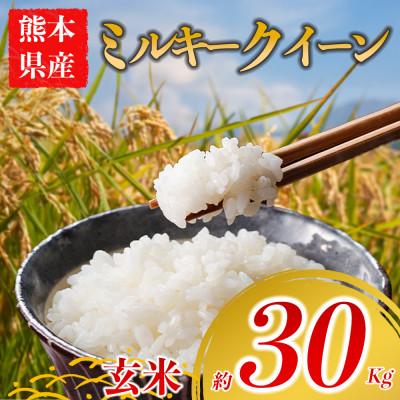ふるさと納税 阿蘇市 ミルキークイーン 約30kg(玄米) 阿蘇アグロスタイル