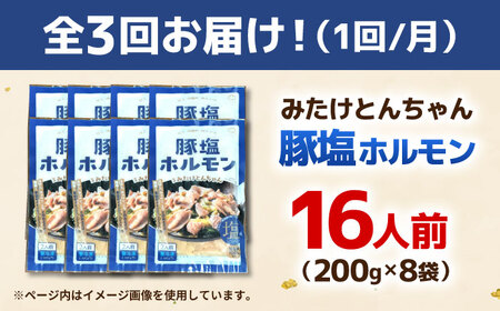 【3回定期便】岐阜県産豚もつの鉄板焼き「元祖みたけとんちゃん」豚塩味（16人前）[AVAA079]豚肉 定期