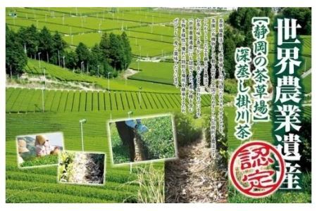 世界農業遺産 ( 茶草場農法 )「 深蒸し掛川茶 」セット ギフト箱入（新茶･令和7年5月上旬より発送　②令和6年度産：今すぐ発送） 美笠園　 深蒸し茶 1942