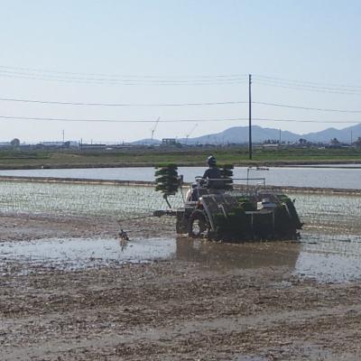 ふるさと納税 三条市 先行受付 新潟県三条産コシヒカリ 従来品種 5kg×1袋 令和7年産 精米 【016S084】 |  | 02