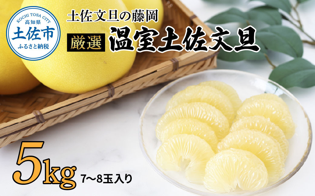 
                  【先行予約】厳選 温室土佐文旦 約5kg（7〜8玉） 文旦 ぶんたん 土佐 柑橘 高知県産 フルーツ お取り寄せ 先行予約 高知県 土佐市【土佐文旦の藤岡】[BQBJ002]
                