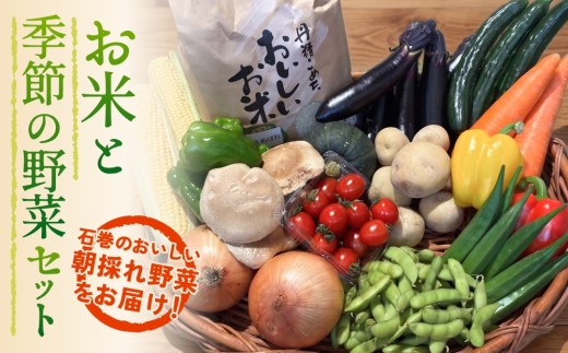 石巻産 お米と季節の野菜セット 詰め合せ 朝採れ 旬の野菜 季節の野菜 やさい お野菜 野菜 ヤサイ 米 ひとめぼれ 5kg コメ 詰め合わせ 食材 新鮮 宮城 石巻 宮城県 石巻市