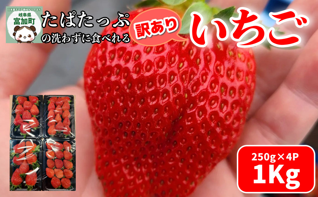 【18028】たぱたっぷの洗わずに食べれるいちご 250g×4パック