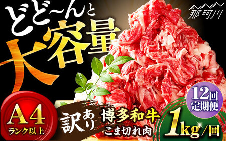 【全12回定期便】博多和牛 牛肉 切り落とし 大容量 1000g（500g×2P）＜株式会社MEAT PLUS＞那珂川市 牛肉 切り落とし 切り落とし肉 定期便 大容量定期便 切り落とし定期便牛肉 肉