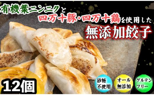 有機 葉 ニンニク と 四万十豚 で作った 最高級 餃子 （ 6個入り x 2パック ）ぎょうざ ギョウザ にんにく 高知 野菜 EA0271