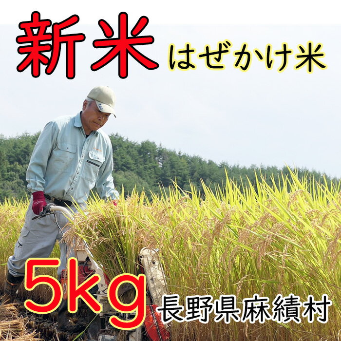 【ふるさと納税】先行予約 新米 米 はぜかけ米 予約 5kg 自然乾燥 天日乾燥 長野 麻績村 5kg はざかけ米 信州 長野県 麻績