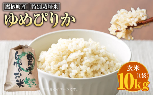 【令和7年産】 ゆめぴりか （玄米） 10kg 北海道 鷹栖町 たかすのおむすび 米 コメ ご飯 玄米 お米