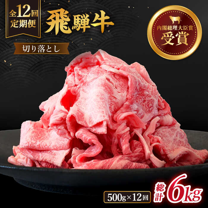 【ふるさと納税】【 12回 定期便 】【 飛騨牛 】切り落とし 総計 6kg ( 1回あたり ) 500g ( 250g × 2 ) 牛肉 国産 ブランド牛 和牛 多治見市/肉のひぐち [TDC012]