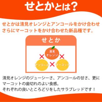 【上富田町】とろける食感!ジューシー柑橘　せとか　約3kg