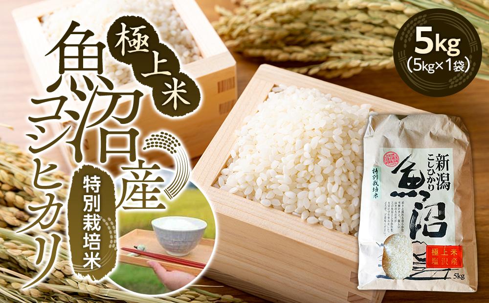 【令和8年産　新米】極上米魚沼産コシヒカリ特別栽培米５kg【銘柄米 ブランド米 精米 こしひかり コシヒカリ 魚沼産 新潟米 産地直送 お米 米 こめ コメ ご飯 御飯 ごはん】