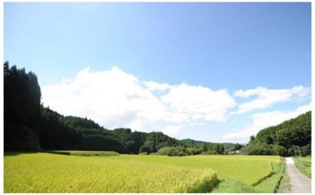 令和５年産・新米　のんびり米　６kg