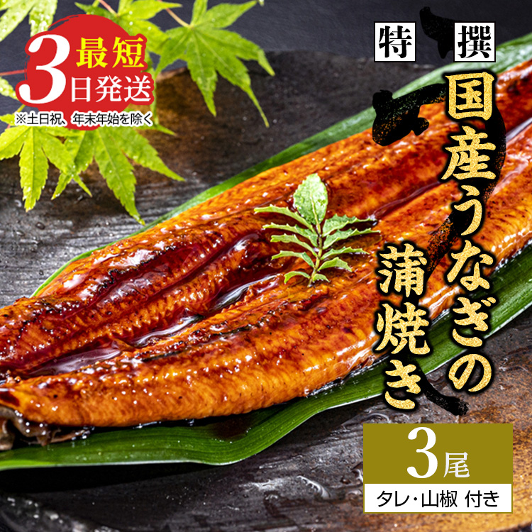特選　国産うなぎ蒲焼き 3尾（120g以上×3尾） | メディアに紹介されたうなぎ屋 国産 冷蔵 うなぎ 鰻 ウナギ タレ・山椒つき かば焼き ※着日指定不可 ※離島への配送不可