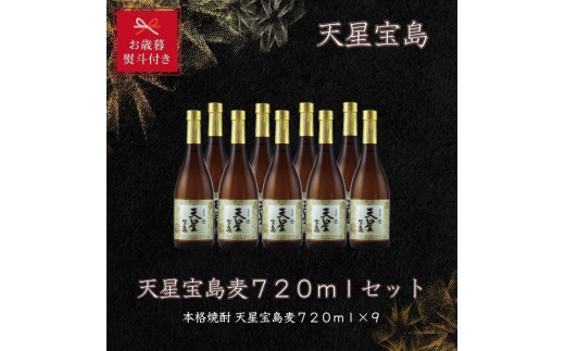 【お歳暮】天星宝島麦７２０ｍｌ×９本セット