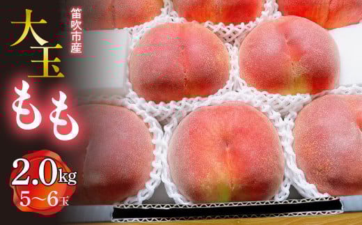 ＜25年発送先行予約＞笛吹市産　大玉もも　2.0kg(5～6玉)  227-008
