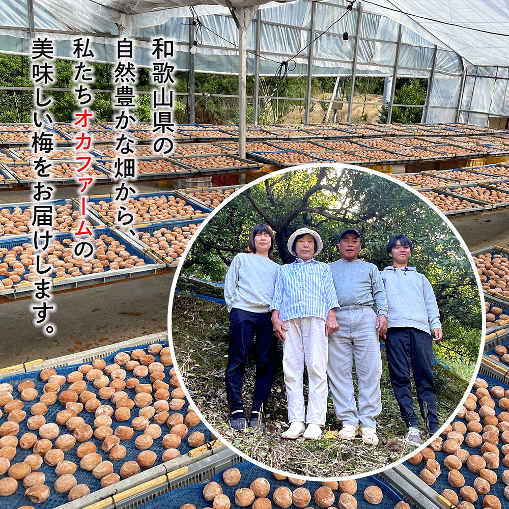 紀州南高梅使用 2種食べ比べ はちみつ うす塩味 完熟梅干し・しそ仕込み完熟梅干し 無選別 各約800g ［TM213］ XH92266_イメージ5