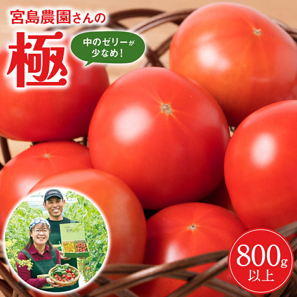 【ふるさと納税】【先行予約】最高峰 トマト 極 800g 八代市産 宮島農園 甘い 野菜 やさい 送料無料 【2026年1月上旬より順次発送】