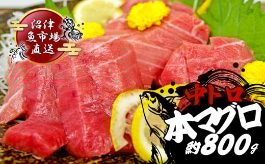 本マグロ 中とろ 800g 【2026年1月中旬以降順次発送】マグロ トロ 鮪 海鮮 晩酌 冷凍 刺し身 まぐろ さしみ 柵 皮付き 海鮮丼 人気 小分け 中トロ 刺身 お刺身 国産マグロ 漬け ネギトロ 産地直送 赤身 冷凍 静岡 沼津 おいしい コスパ ランキング 人気